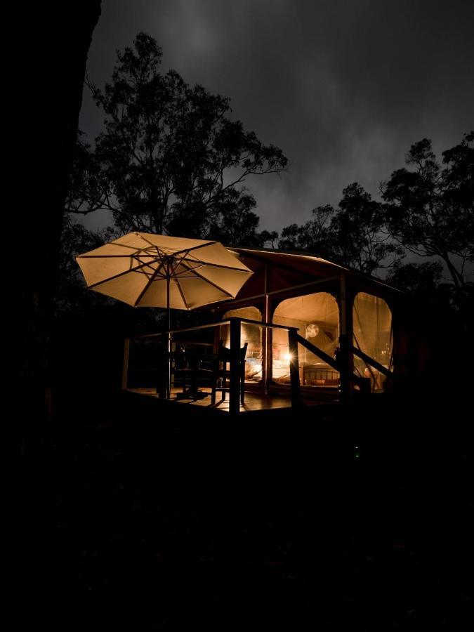 Wild Nature Lodge, Mareeba Wetlands Biboohra Zewnętrze zdjęcie