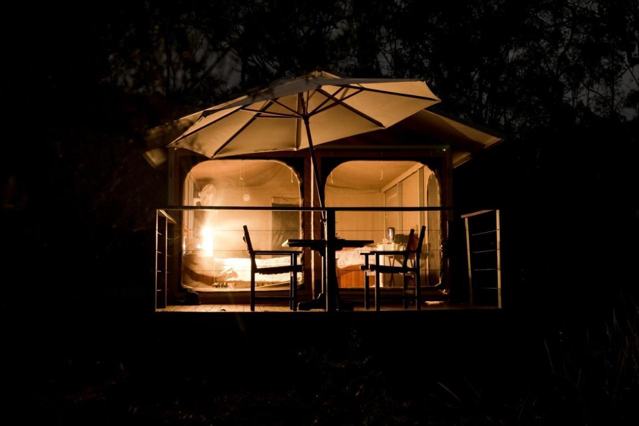 Wild Nature Lodge, Mareeba Wetlands Biboohra Zewnętrze zdjęcie