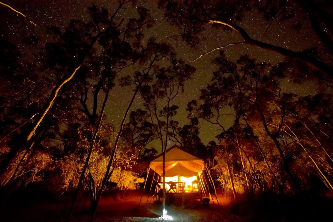 Wild Nature Lodge, Mareeba Wetlands Biboohra Zewnętrze zdjęcie