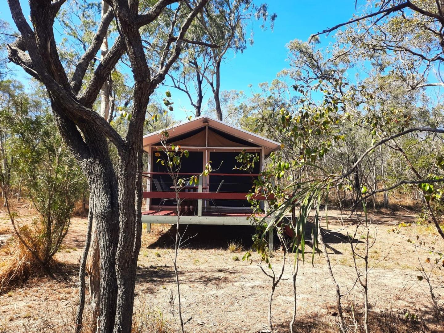 Wild Nature Lodge, Mareeba Wetlands Biboohra Zewnętrze zdjęcie